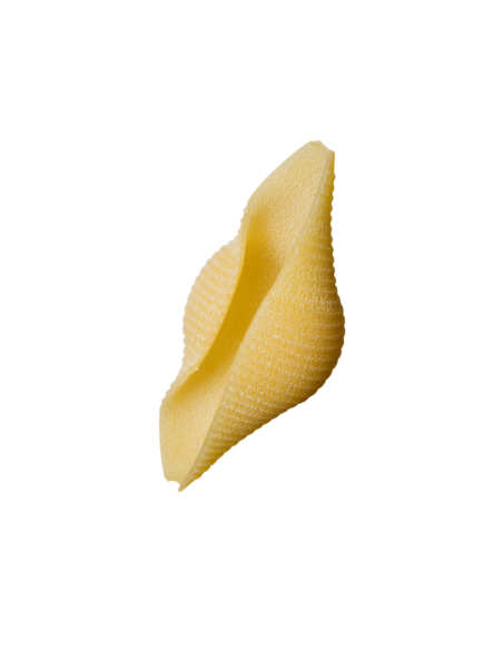 Conchiglioni Mat 500 gr Felicetti