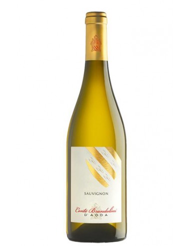 Sauvignon Blanc 75 cl Conte Brandolini D Adda