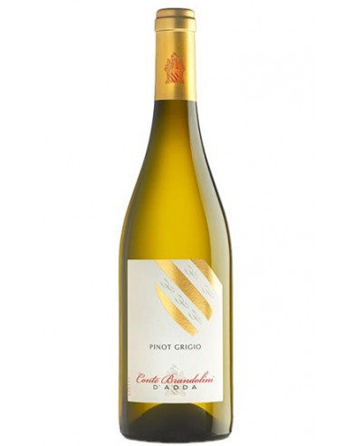 Pinot Grigio 75 cl Conte Brandolini D Adda