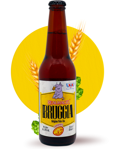 Bruggia Belgian Pale Ale 33 cl Karton mit 15 flaschen Realmalto