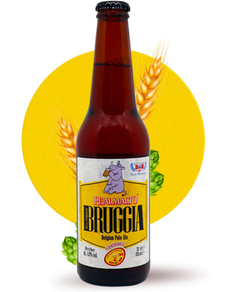 Bruggia Belgian Pale Ale 33 cl Caja de 15 Botellas Realmalto