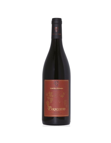 Paracleto Petit Verdot DOP 2020 75 cl Tenuta Cuffaro