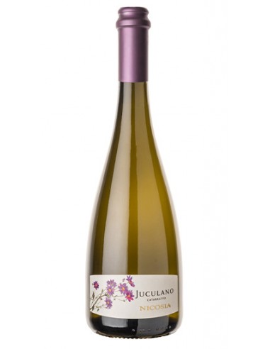 Juculano Catarratto IGT Terre Siciliane 75 cl Nicosia