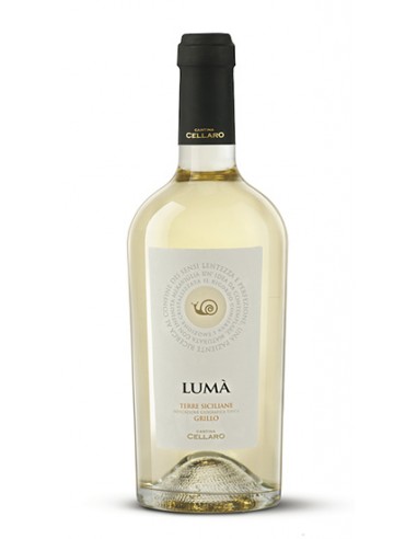 Cave Lumà Grillo DOC 75 cl Cantina Cellaro