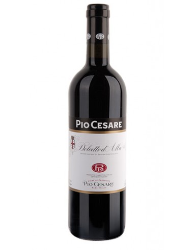 Dolcetto d’Alba DOC 75 cl Pio Cesare