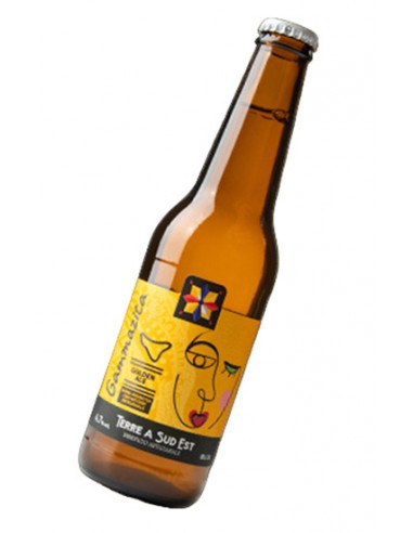 Bière Gammazita Golden Ale 33 cl x 12 pcs Terre à Sud Est