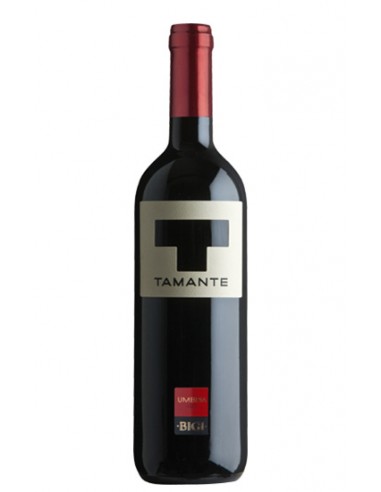 Tamante Rosso Umbrien IGT 75 cl Bigi